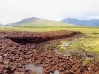 Different types of high peat Different types of high peat