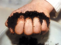 Using CANNA COCO Using CANNA COCO